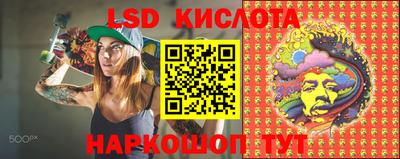 apvp Пугачёв