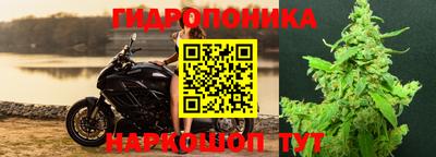 индика Пушкино