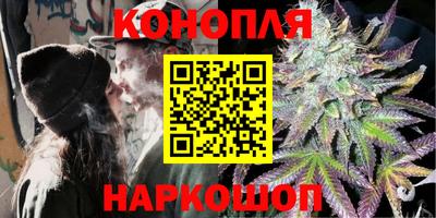 apvp Пугачёв
