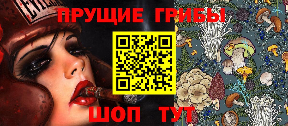 Галлюциногенные грибы Cubensis  Псилоцибиновые грибы мицелий  Вход с VPN  Сафоново 